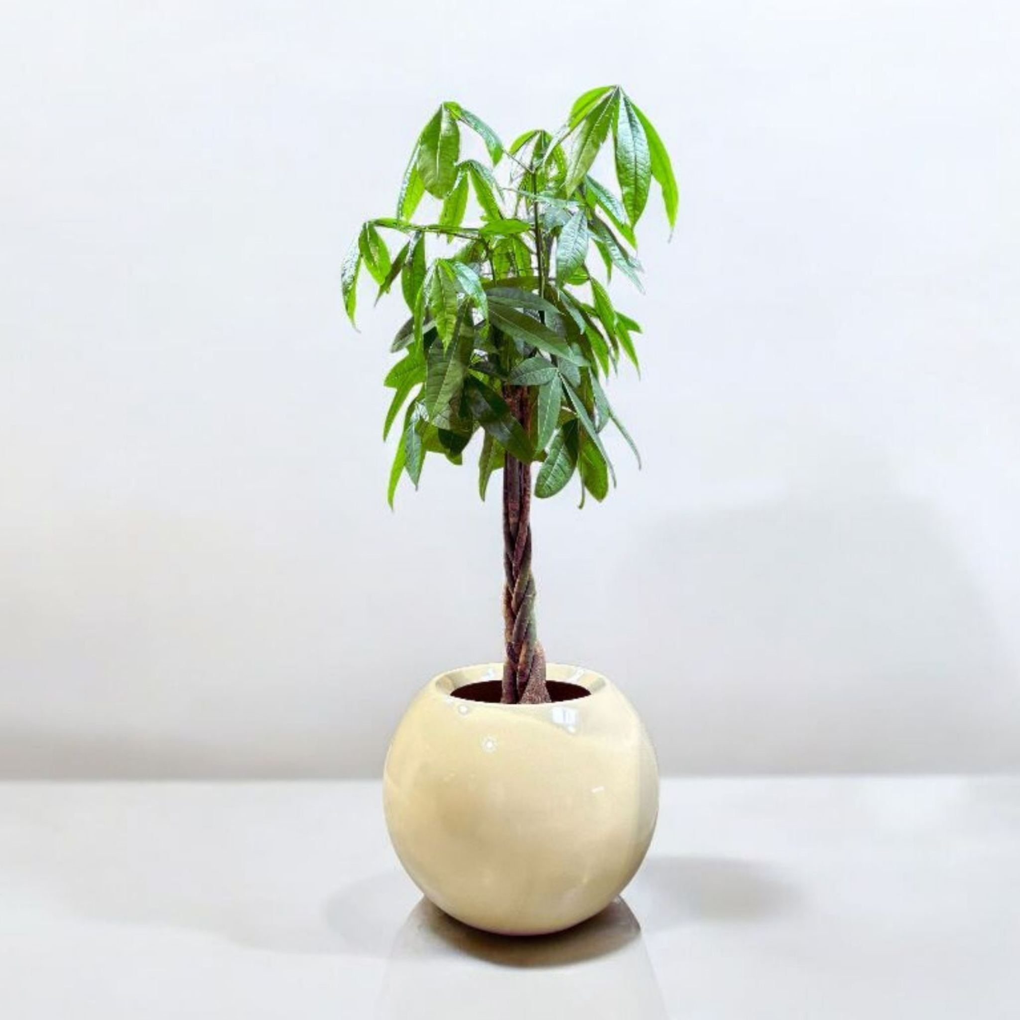 Jardinière sphérique - SPHERO